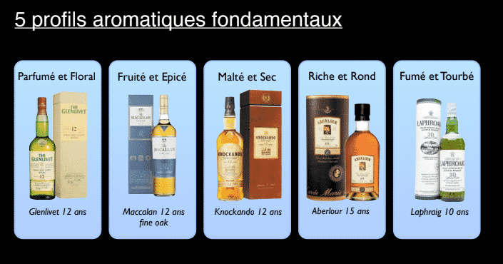 5 profils aromatiques fondamentaux