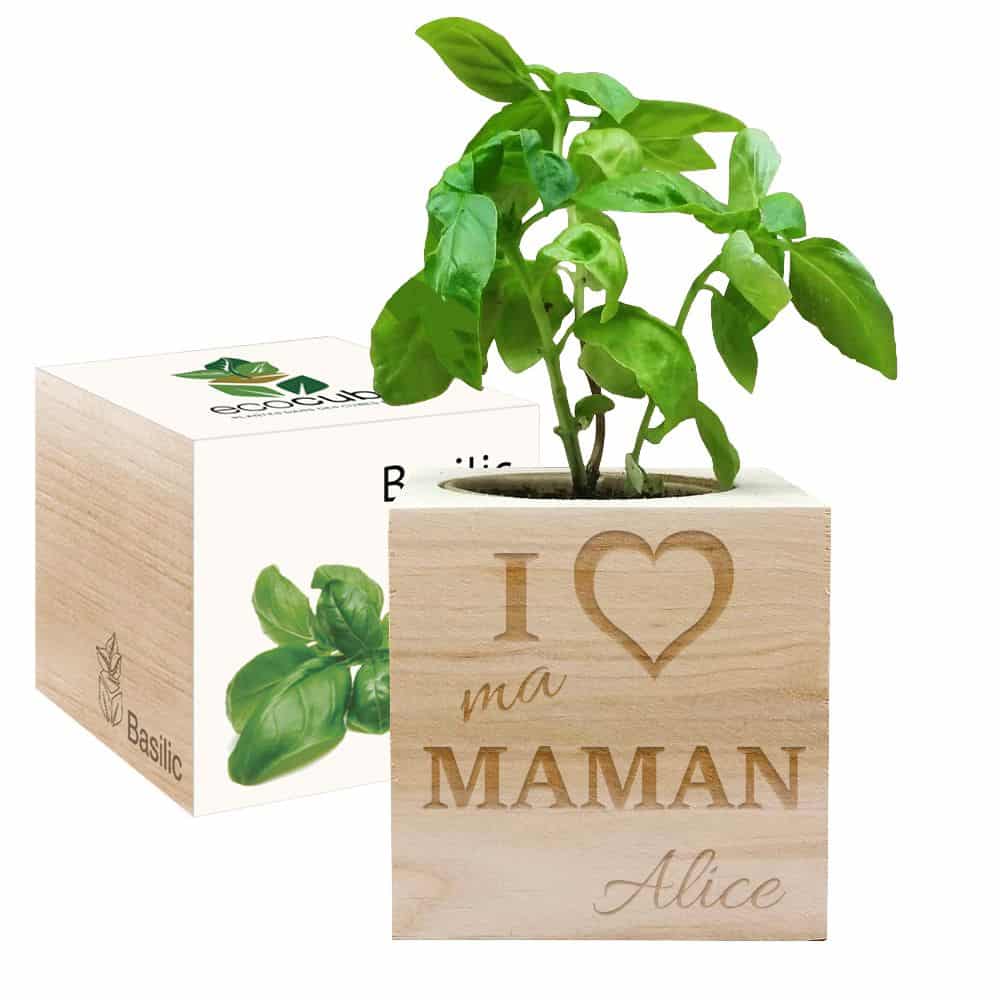 Exemple de cadeau sur amikado : Ecocube personnalisé Maman