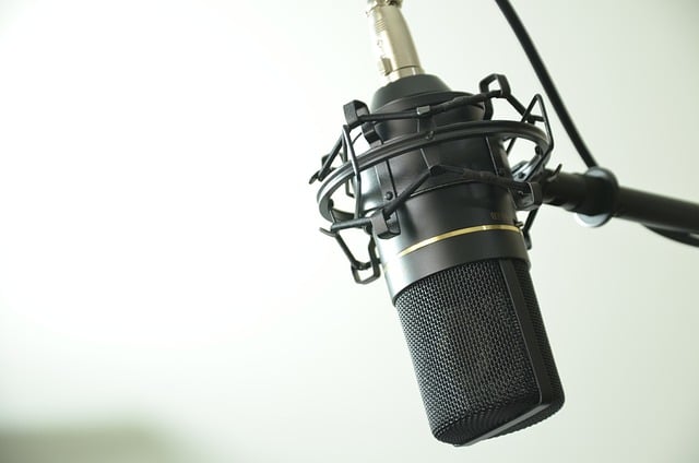 Microphones pour streamer débutant
